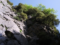 qua Rocca10062012 116